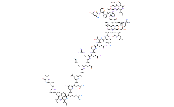 Urocortin rat