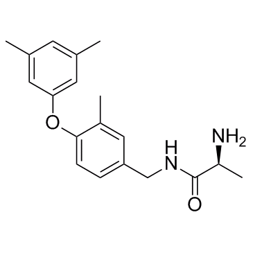 SGC2085