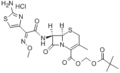 Cefetamet pivoxil hydrochloride