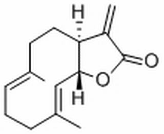 木香烴內酯