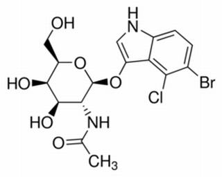 5-溴-4氯-3-吲哚N-乙酰-β-D-氨基半乳糖苷