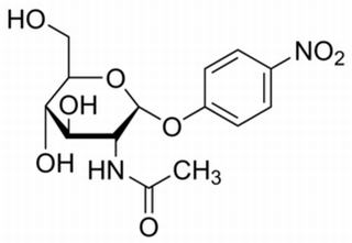 對硝基苯-N-乙酰-α-D-氨基葡萄糖苷