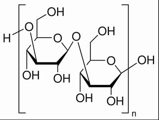 β-葡聚糖