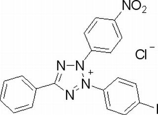 碘硝基氯化四氮唑藍(lán)