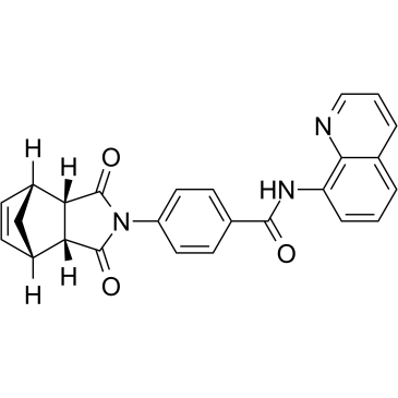 IWR-1-endo