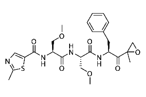 Oprozomib (ONX 0912)