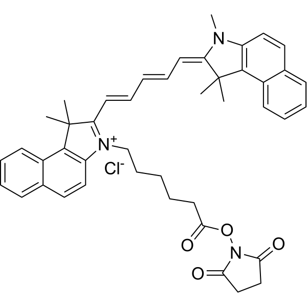 Cy5.5 N-羥基琥珀酰亞胺酯 Cy5.5 N-羥基琥珀酰亞胺酯