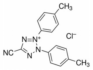 5-氰基-2，3-二-（P-芐基-四唑氯化物）